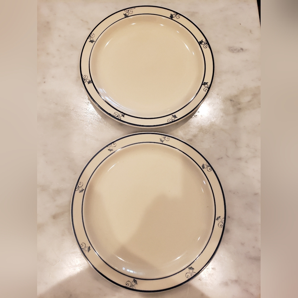 Pair Of Tienshan Stoneware Dinner Plates